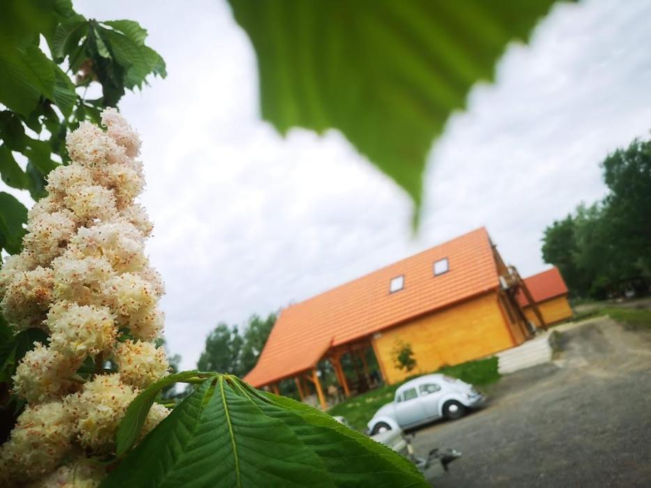 Ferienwohnung Tomajor Vendeghazak Tiszaeszlar Exterior foto